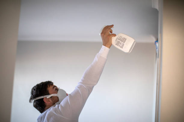 Best Certified Mold Removal  in Redwater, TX