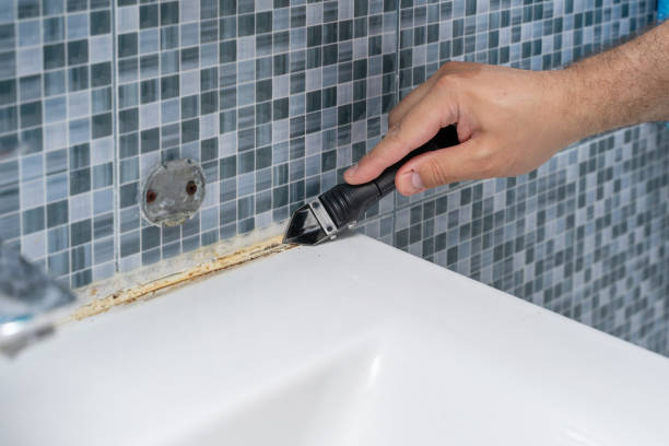 Trusted Redwater, TX Mold Removal Experts