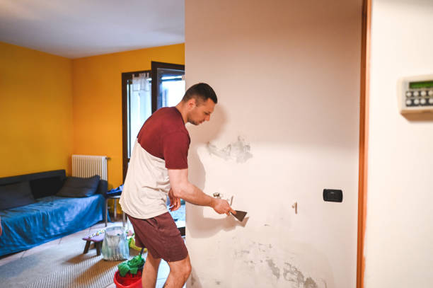 Best Office Mold Removal Services  in Redwater, TX